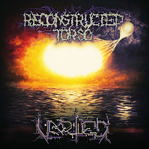 RECONSTRUCTED TORSO - VARIED CD