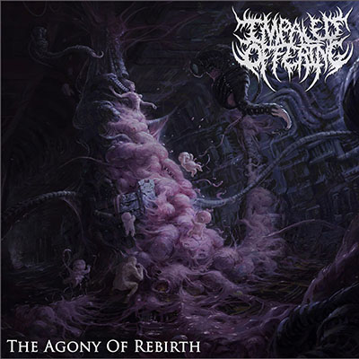 IMPALED  OFFERING - THE AGONY OF REBIRTH CD