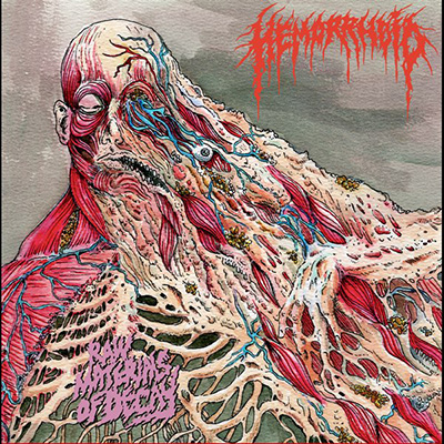 HEMORRHOID - RAW MATERIALS OF DECAY CD